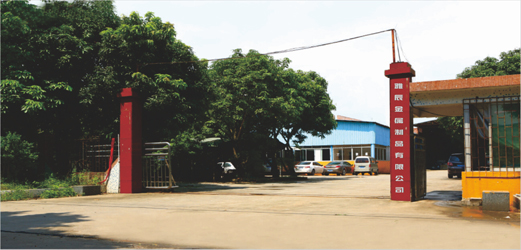 公司简介
